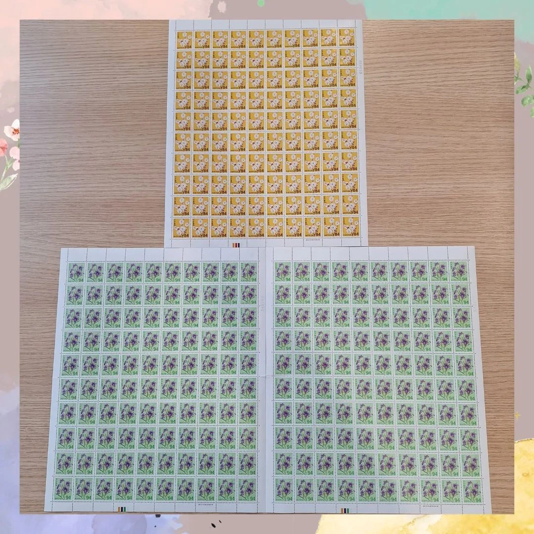 画像474